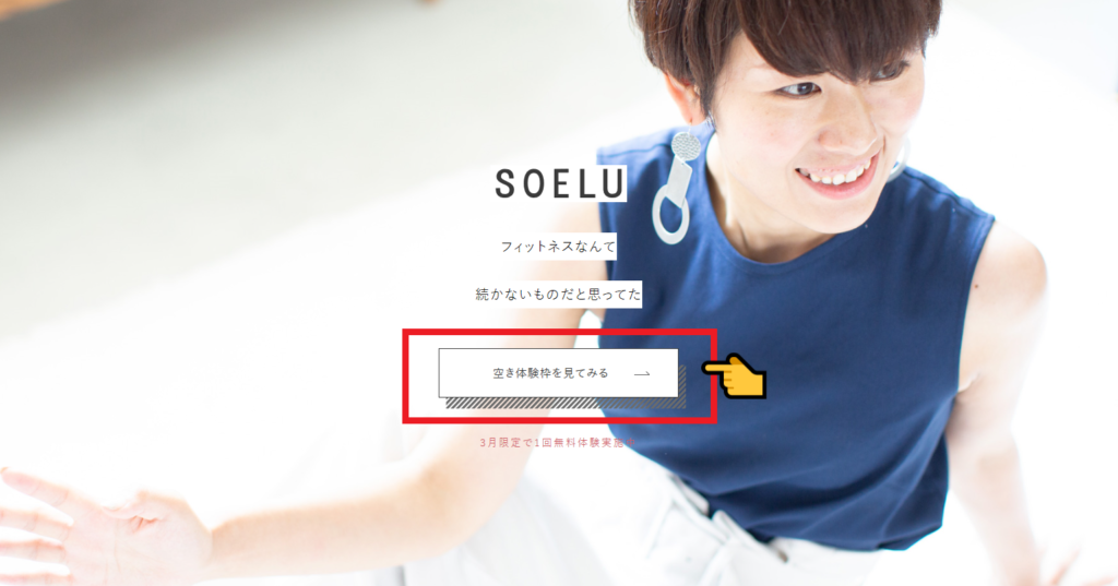 SOELUの公式サイト3